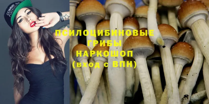 hydra сайт  Искитим  Галлюциногенные грибы MAGIC MUSHROOMS 